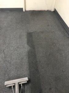 Carpet Cleaning at Office in Phoenix