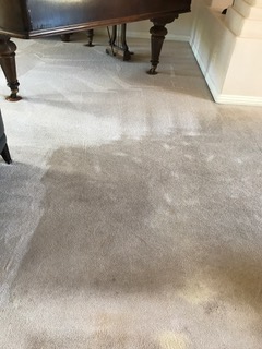 Carpet Cleaning Residential Home Phoenix