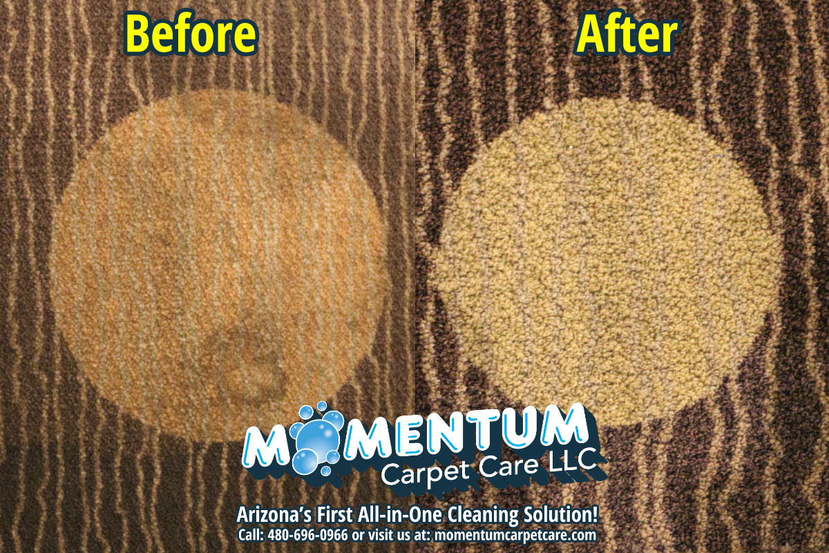 Before and After - Main Event Commercial Carpet Cleaning Job