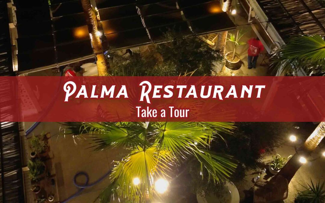 Tour of Palma Restaurant and How Cleanliness is Good for Business