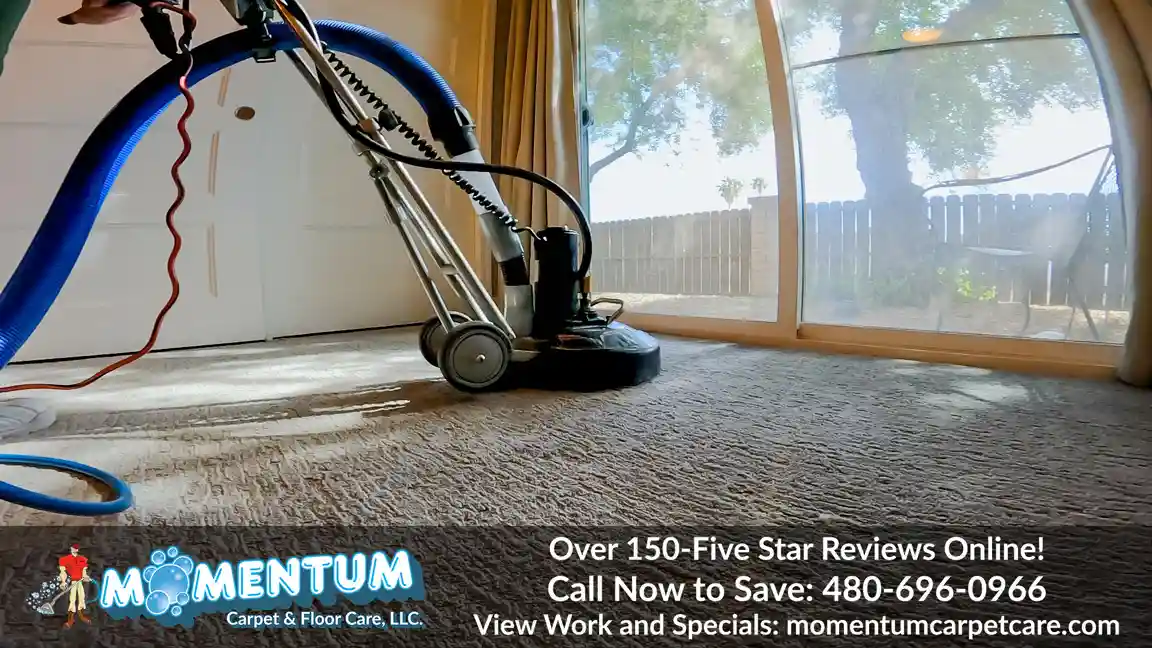 Carpet Cleaning