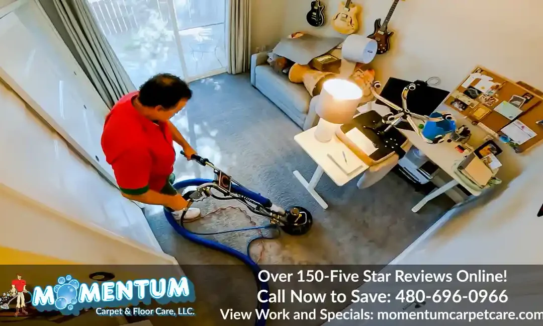 Carpet Cleaning: 1042 North 86th Way Scottsdale, AZ 85257