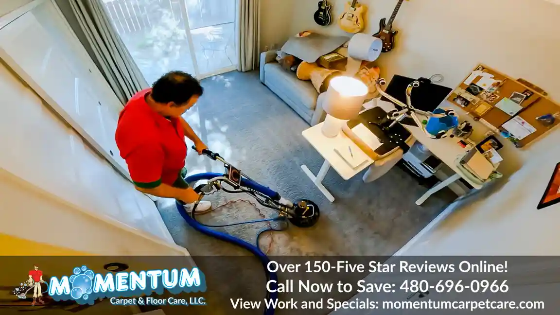 Carpet Cleaning 1042 North 86th Way Scottsdale, AZ 85257