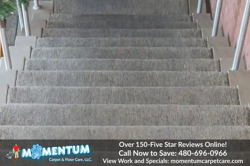 Commercial Carpet Cleaning