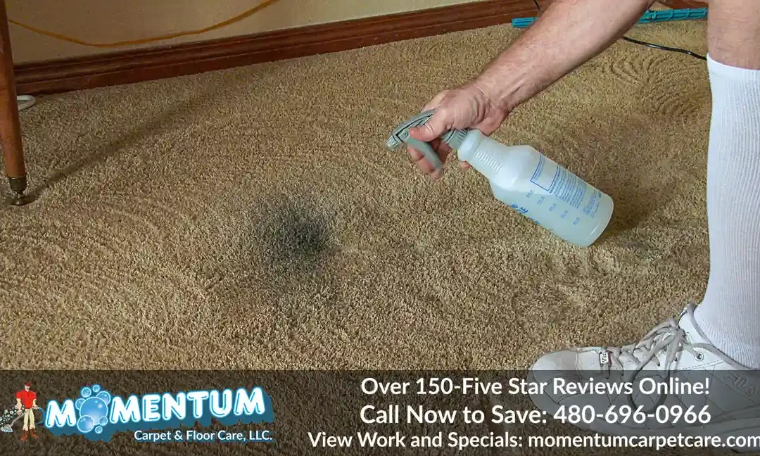 Carpet Cleaning: 8945 N 45th St Phoenix AZ 85028