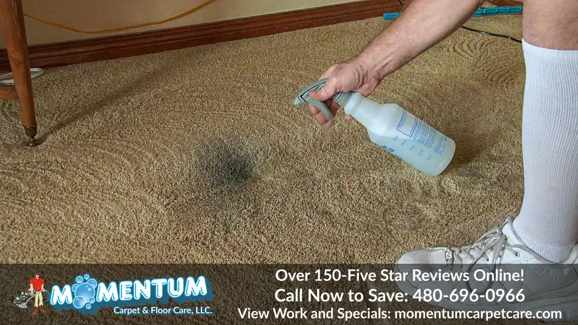 Carpet Cleaning