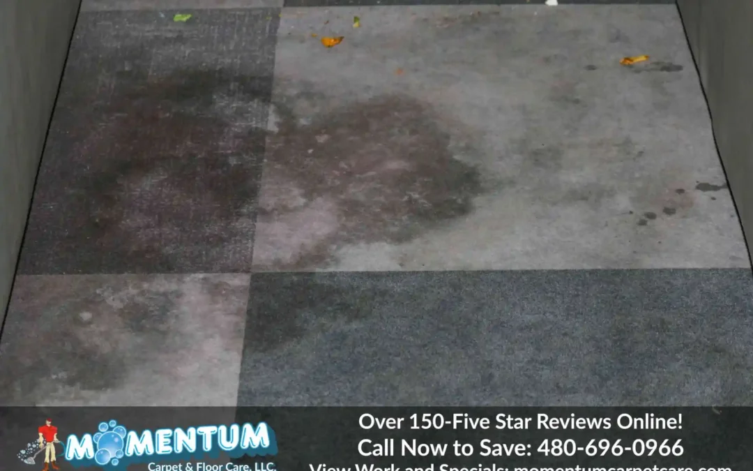 Commercial Carpet Cleaning: Main Event 8545 S Emerald Dr, Tempe, AZ 85284