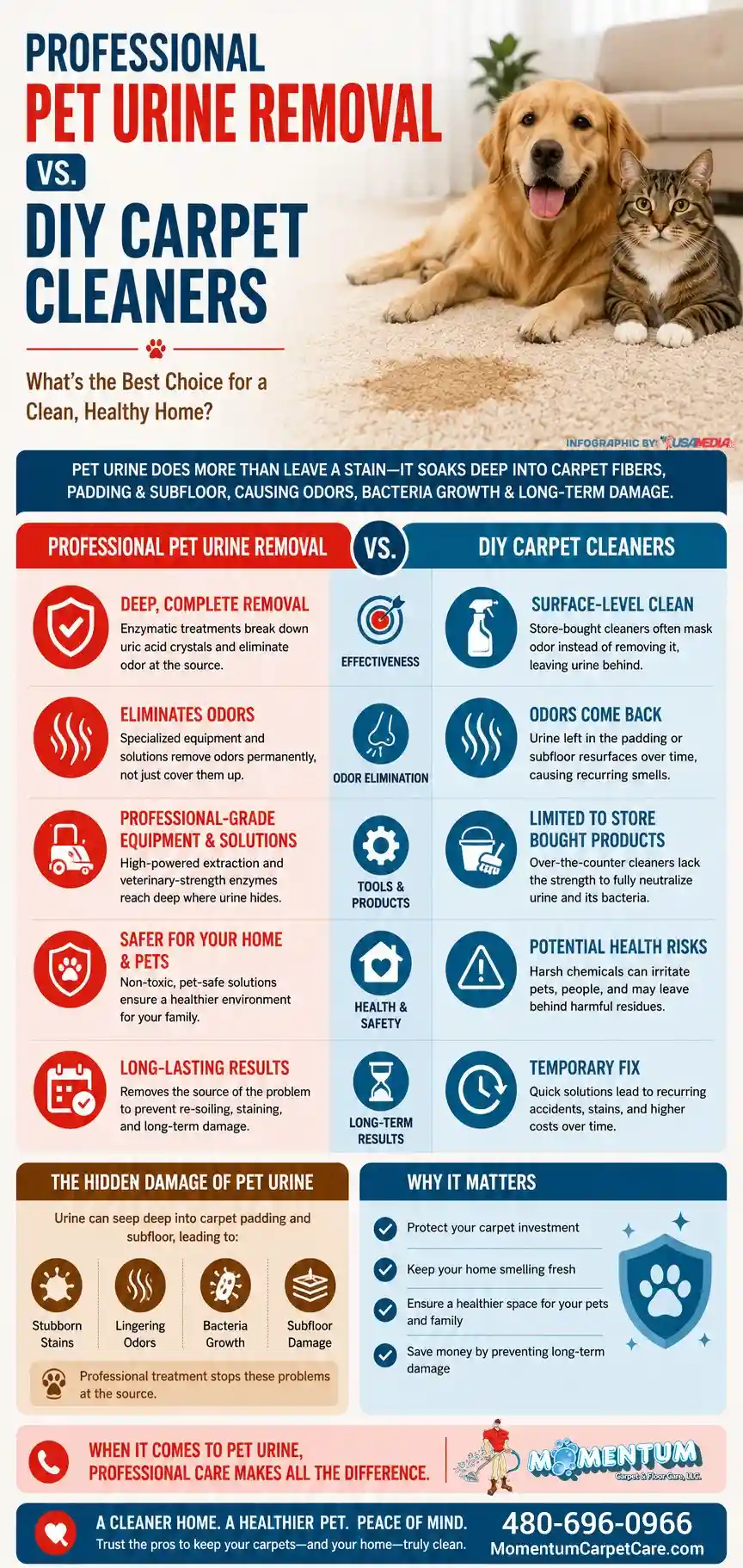Professional Pet urine Removal vs DIY Carpet Cleaners
