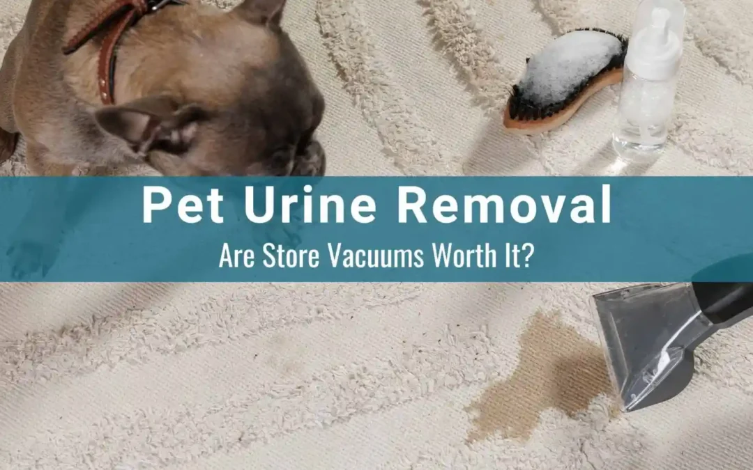Professional Pet urine Removal vs DIY Carpet Cleaners