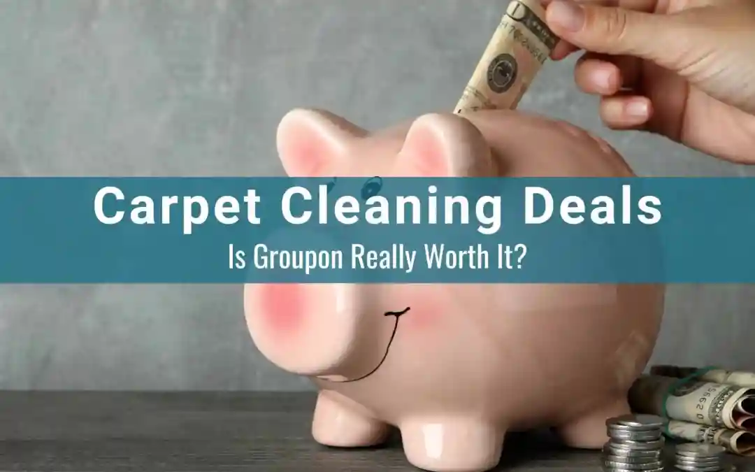 Carpet Cleaning Deals Better Than Groupon in Phoenix, AZ